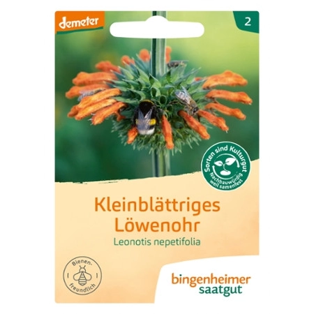 Bingenheimer - Saatgut Kleinblättriges Löwenohr