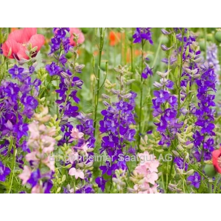 Bingenheimer Semi - Balcone Fiorito | Miraherba Bio Giardino