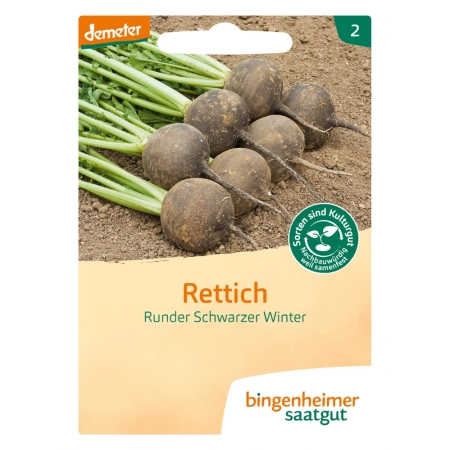 Bingenheimer Saatgut - Rettich runder Winter | Miraherba Pflanzen