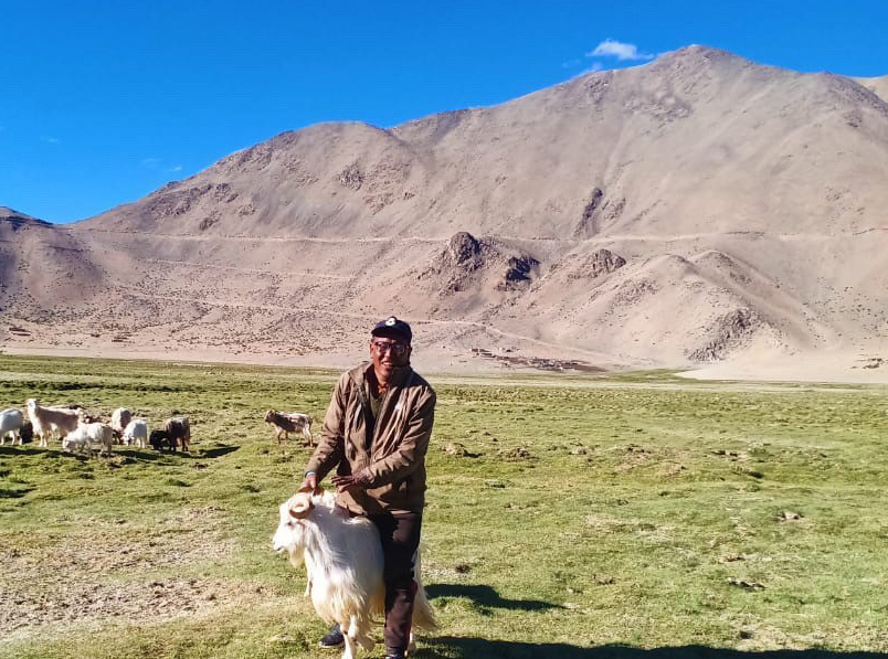 Miraherba Indien Kashmir